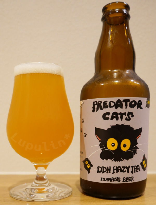 PREDATOR CATS